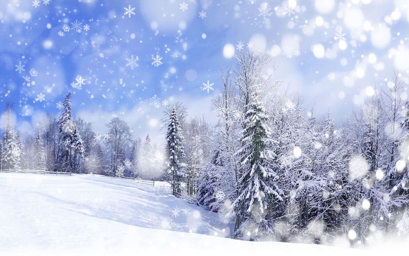 Snow